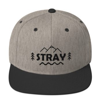 Stray Snapback Hat