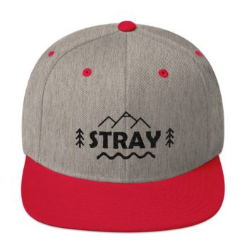 Stray Snapback Hat - Image 3
