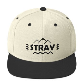 Stray Snapback Hat - Image 5