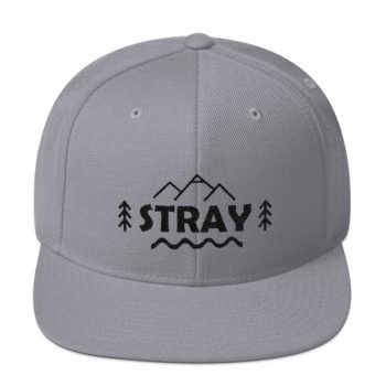 Stray Snapback Hat - Image 4
