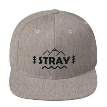 Stray Snapback Hat - Image 2